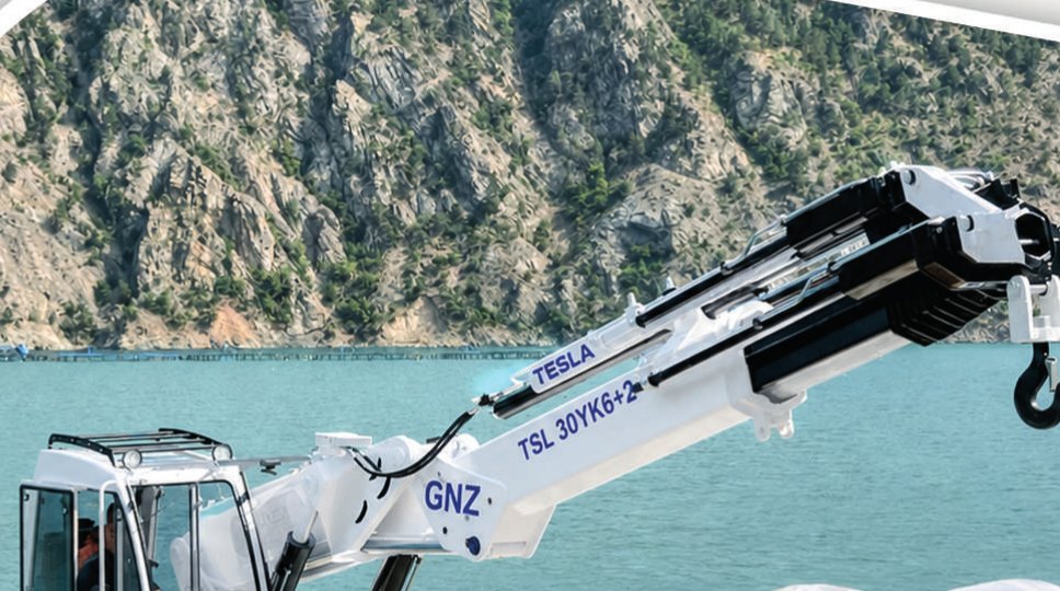 TESLA TM 30YK6+2 gemi vinci, iskelede yük elleçlerken